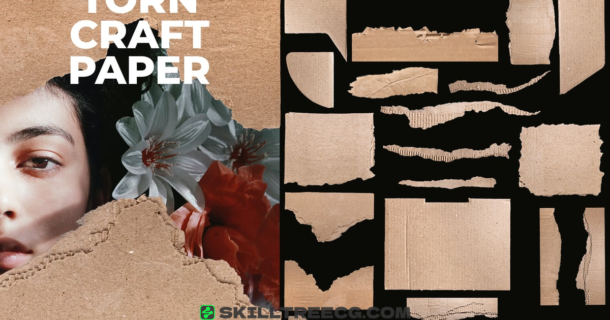 35 Torn Cardboard Paper Texture For Design（182974）-技能树